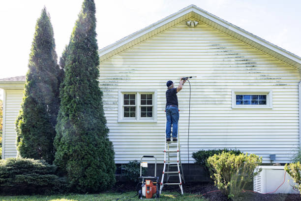 Best Driveway Pressure Washing  in Black Earth, WI
